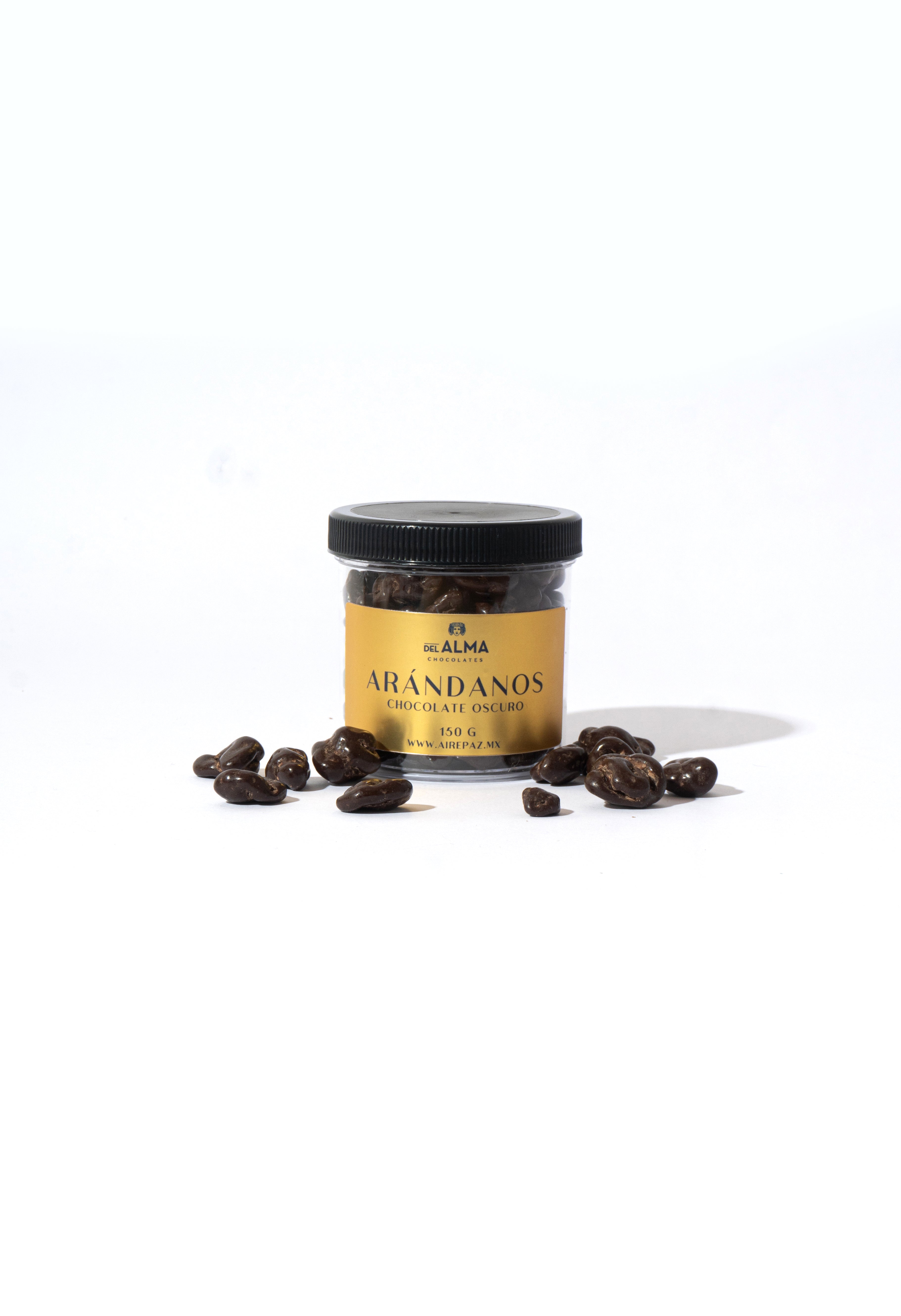 Arándanos cubiertos con chocolate oscuro